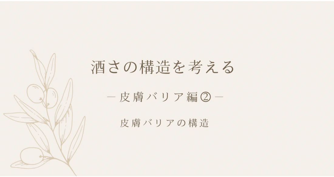 酒さの構造を考える ｜ 皮膚バリア編② ｜ 皮膚バリアの構造