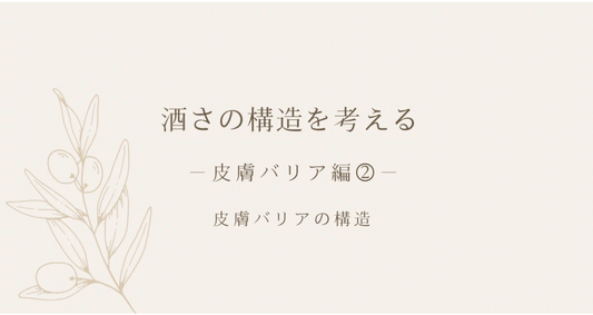 酒さの構造を考える ｜ 皮膚バリア編② ｜ 皮膚バリアの構造