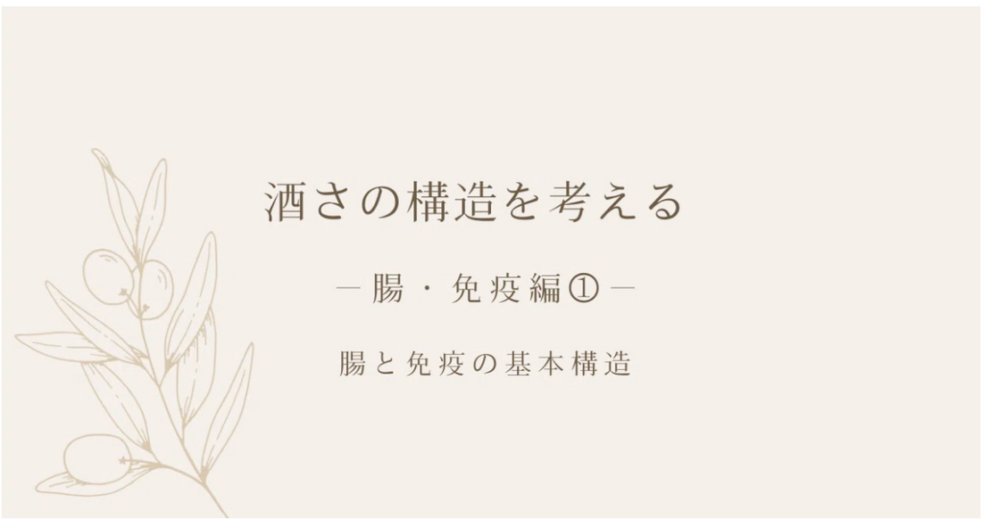 酒さの構造を考える ｜ 腸・免疫編① ｜ 腸と免疫の基本構造