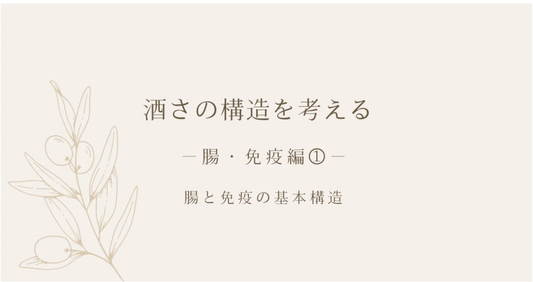 酒さの構造を考える ｜ 腸・免疫編① ｜ 腸と免疫の基本構造