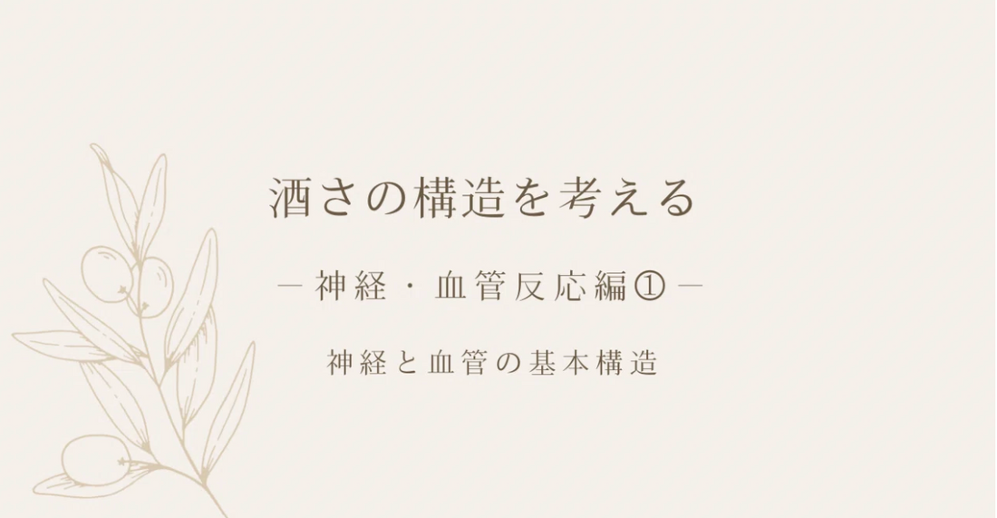 酒さの構造を考える｜神経・血管反応編①｜神経と血管の基本構造