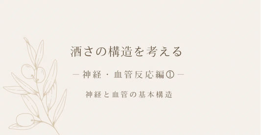 酒さの構造を考える｜神経・血管反応編①｜神経と血管の基本構造