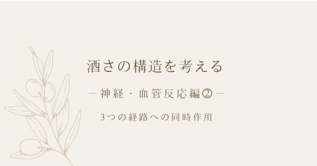 酒さの構造を考える｜神経・血管反応編②｜3つの経路への同時作用